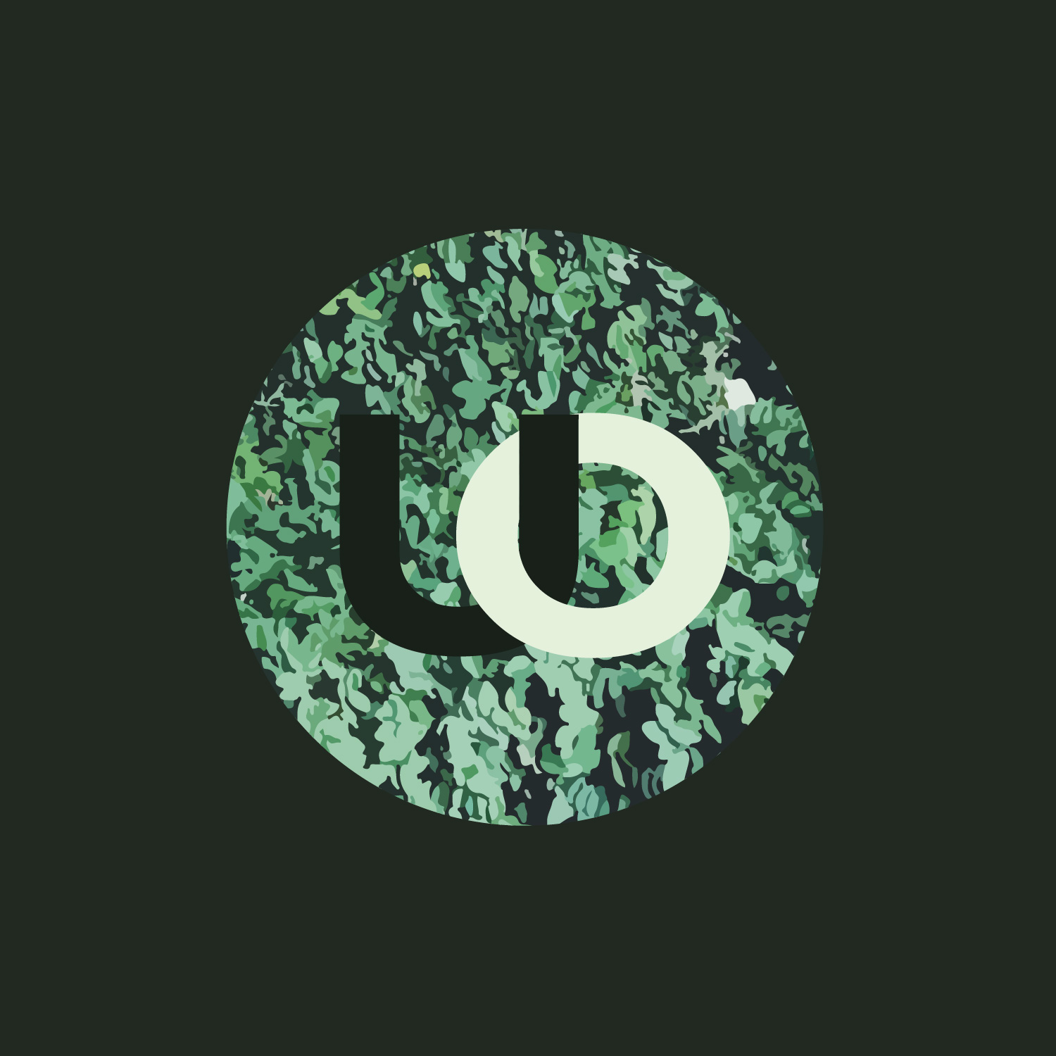 DVC 2: A Speculative Design Showcase